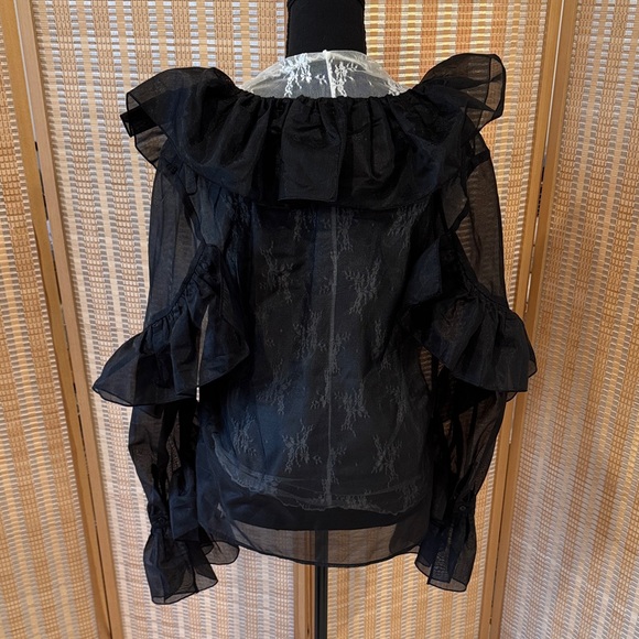 H&M Sheer Black Ruffled Blouse - Picture 3 of 9